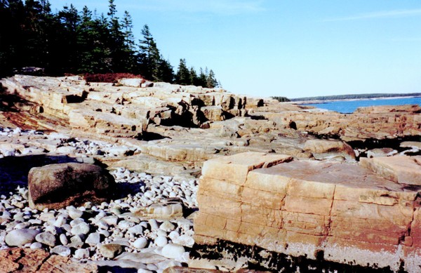 Shoreline of Acadia