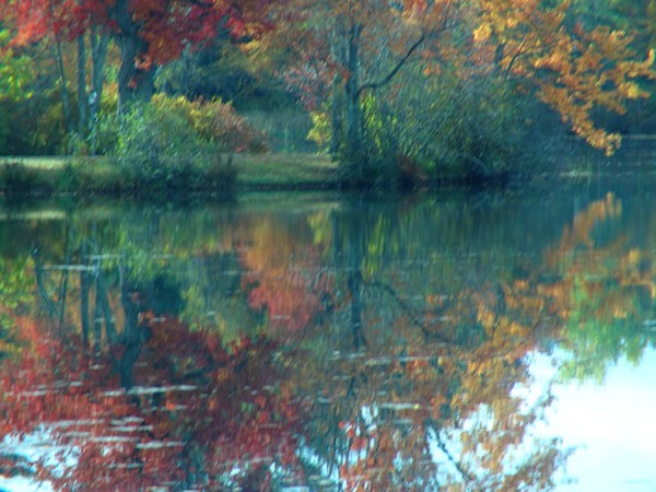 My Monet