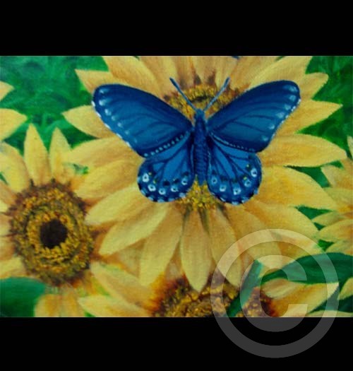 Part of Sun flowers