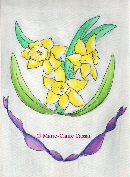 Daffodils