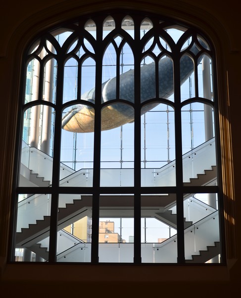 Whale in the window