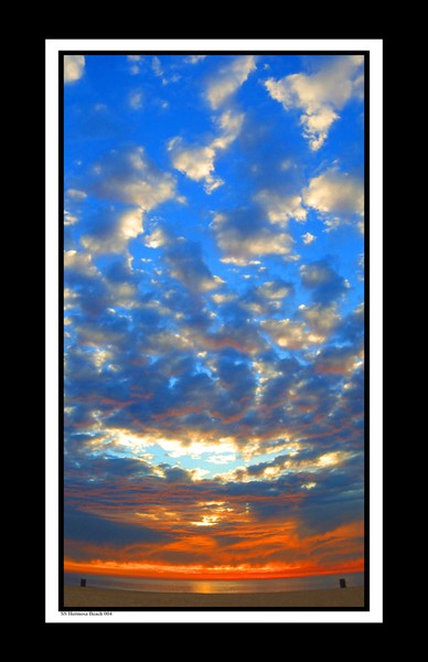 SS Hermosa 004 11x17