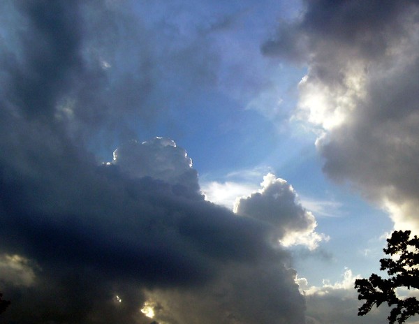-CREATION BEAUTY-