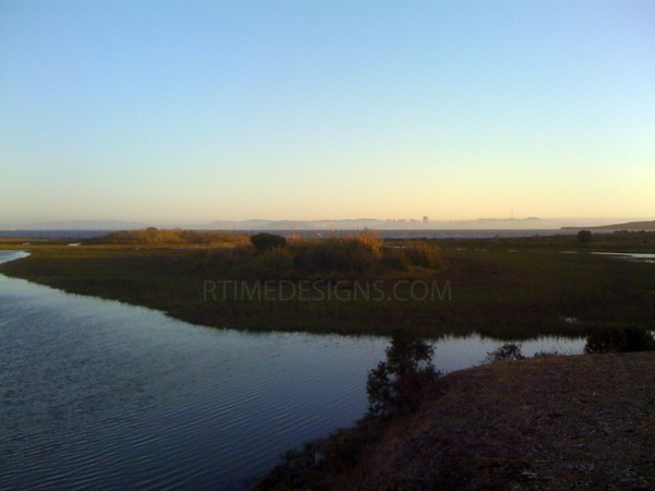 marina wetlands