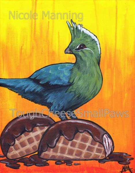 Cool Choco Turaco Tacos