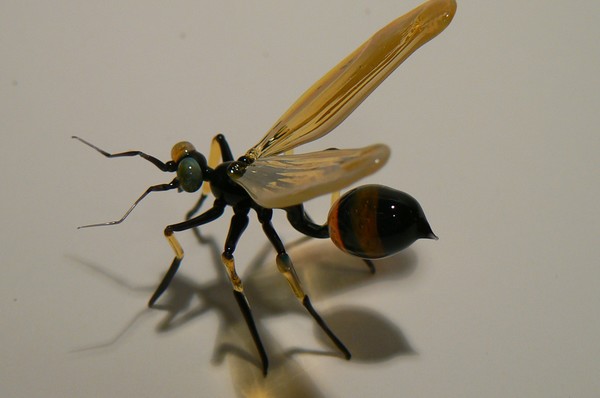 wasp