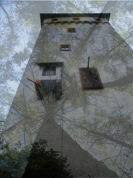 Manipulation 27