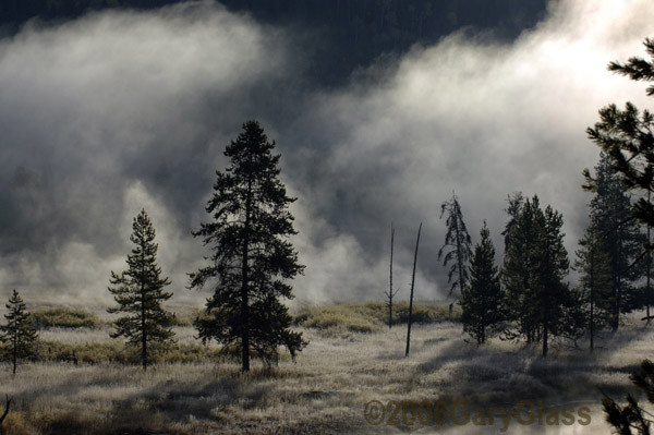 A Mist Shrouded Morning