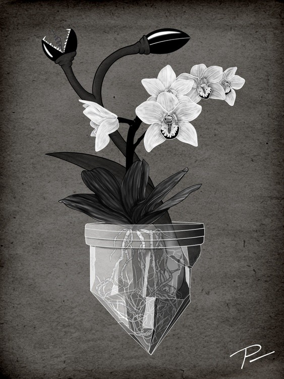 Orchids and hunger