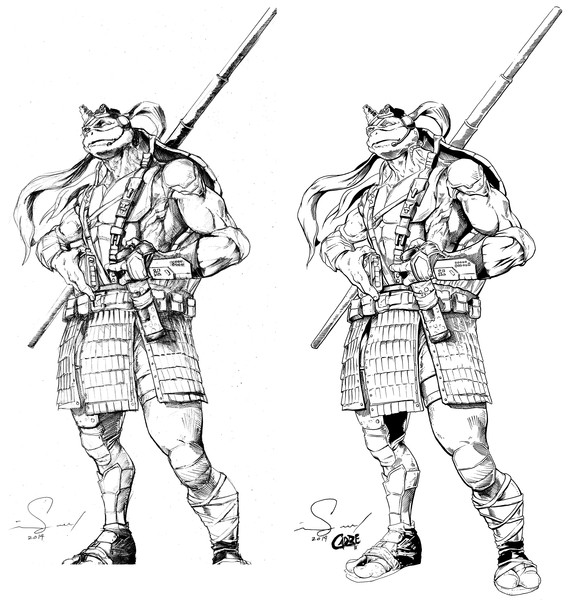 Donatello of the Teenage Mutant Ninja Turtles