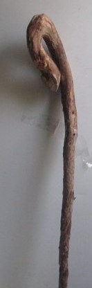 THE BEGINING WORM WOOD