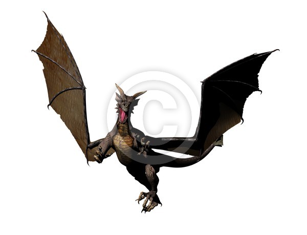 Dragon Attacks