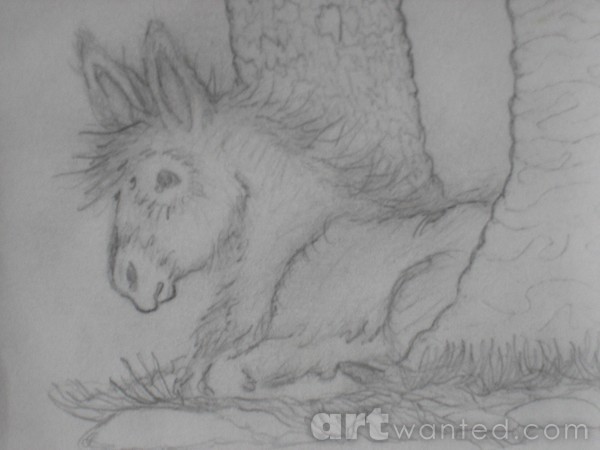LONELY BURRO