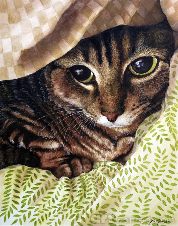 Little Scaredy Cat