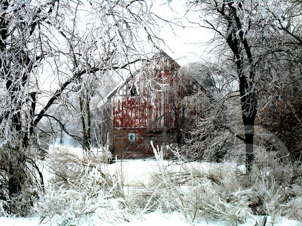 Winter Wonderland