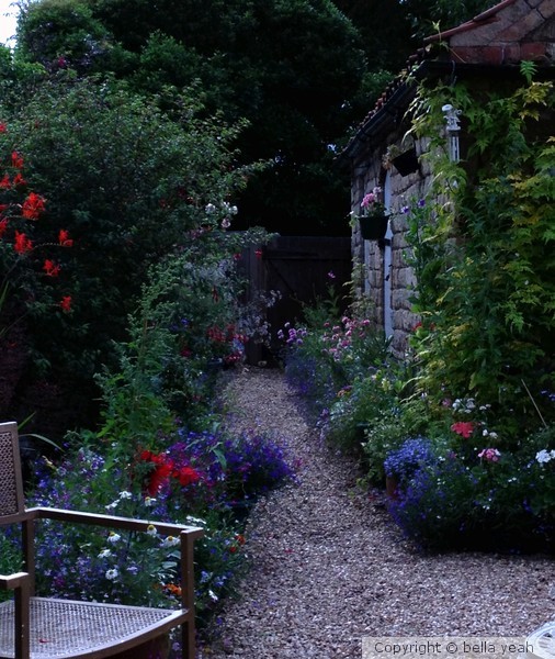 my little garden at twilight