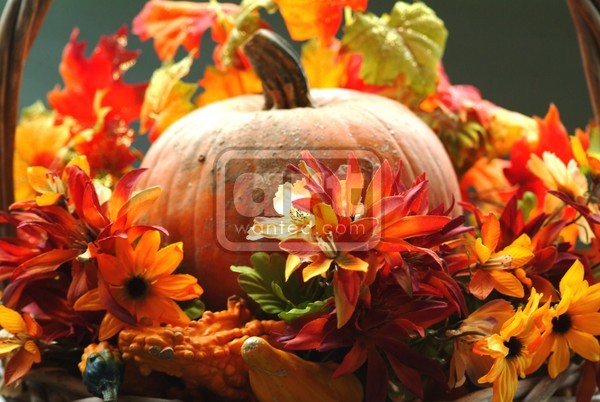 Fall Bounty