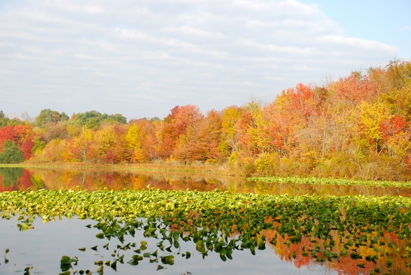 Rockland Lake