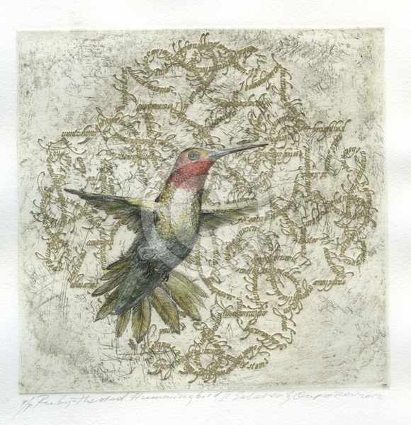 Ruby-throted Hummingbird