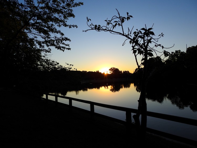 Sunset on Colonial Lake