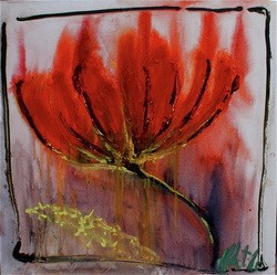 8971888-red flower