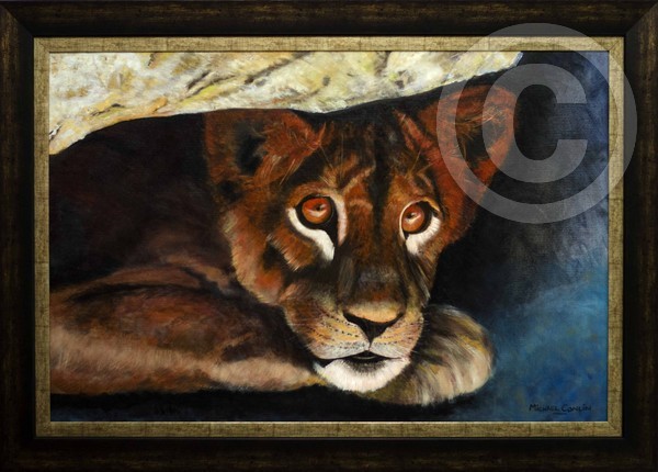 Lion Cub