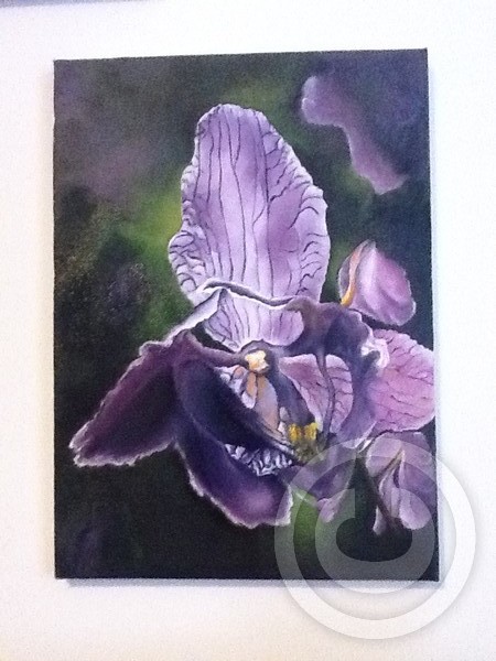 Orchid
