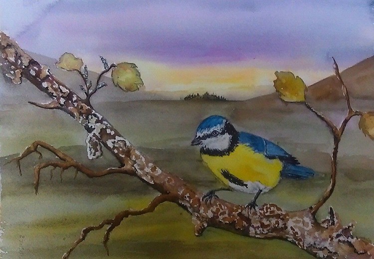 Blue bird 