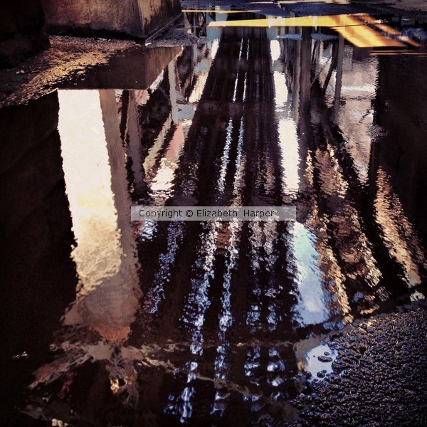 South Loop Grit