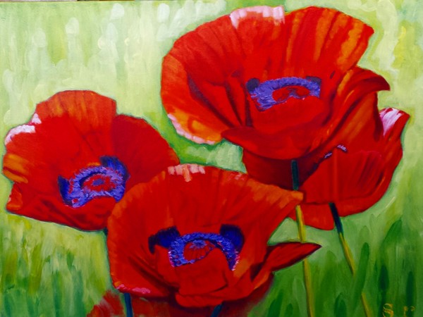 Red Poppies