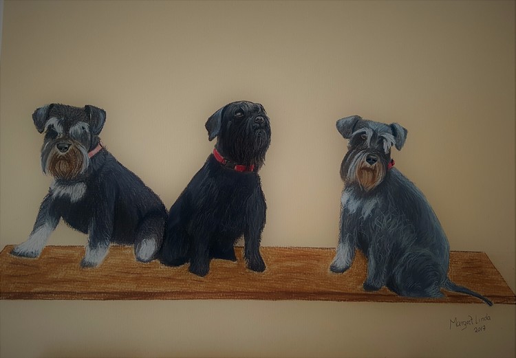 My furry girls 