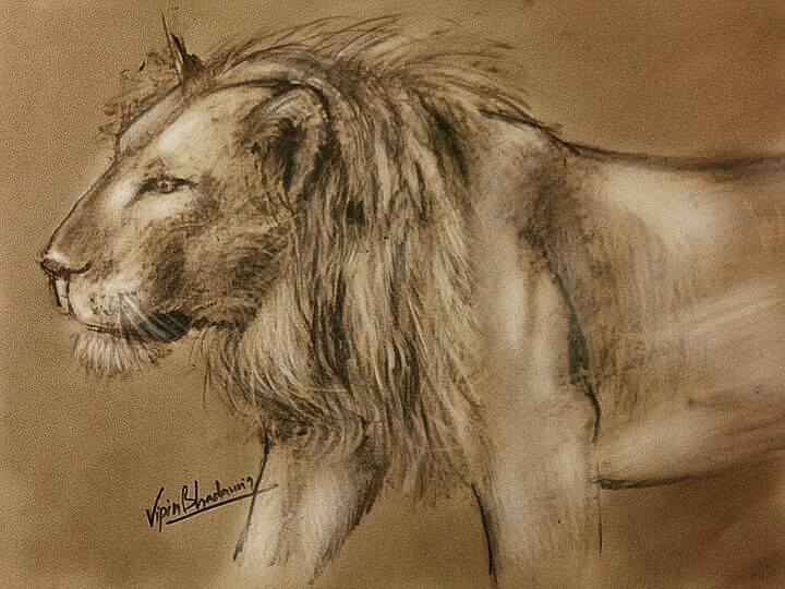 Lion 