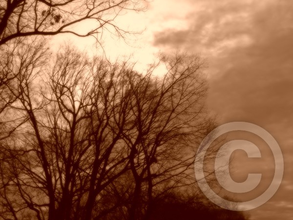 twilight