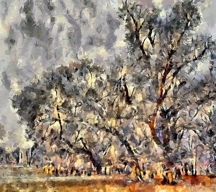 Winter trees