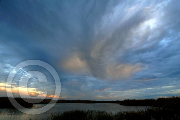 Blue sunset