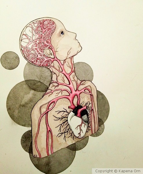 Heart