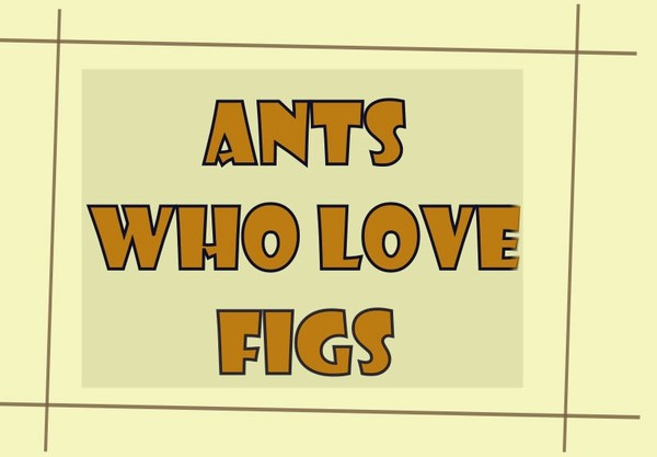 ants who love figs