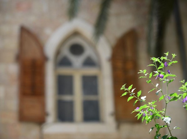 Windows Of Jerusalem-2