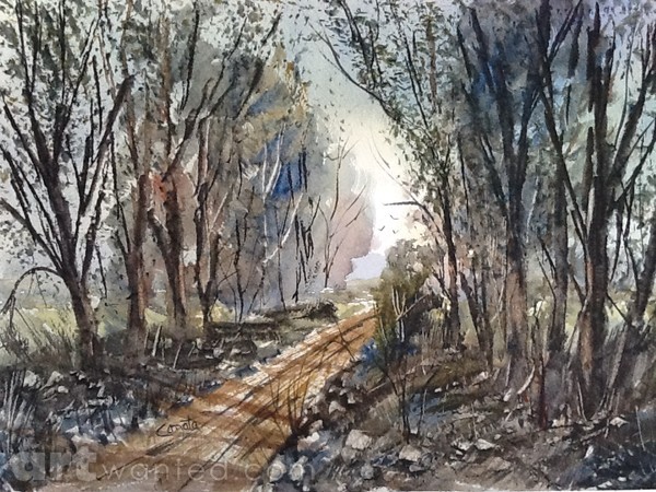 Shaggy trees