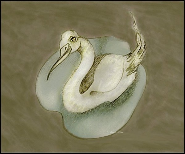 Lily Pad Bird