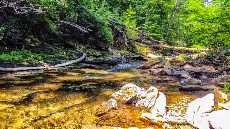 Summer at a Mountain stream 