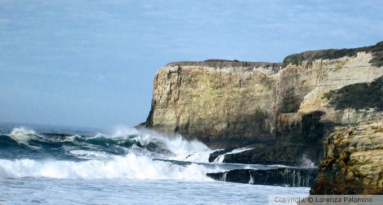 Roaring Wave