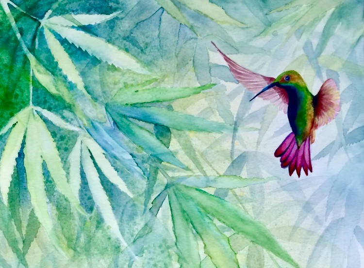 Hummingbird