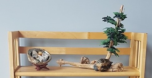 beach glass drift wood tree 3