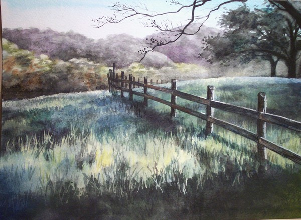 Fence in the Field