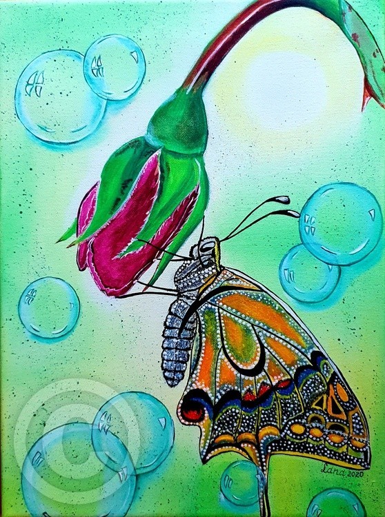 Butterfly