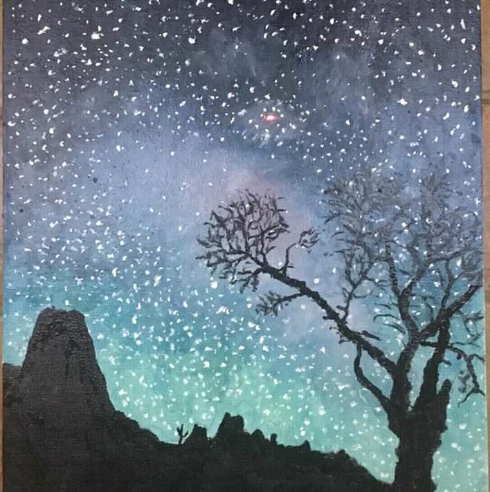 L'universo elegante