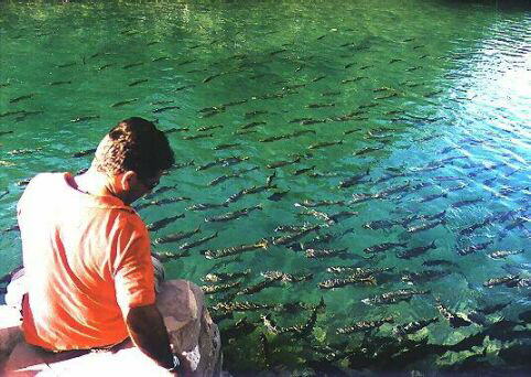 Fishing River