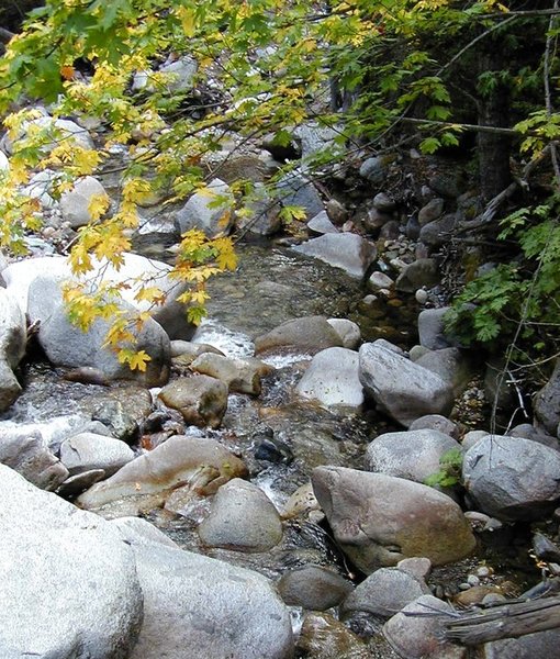 Eagle Creek