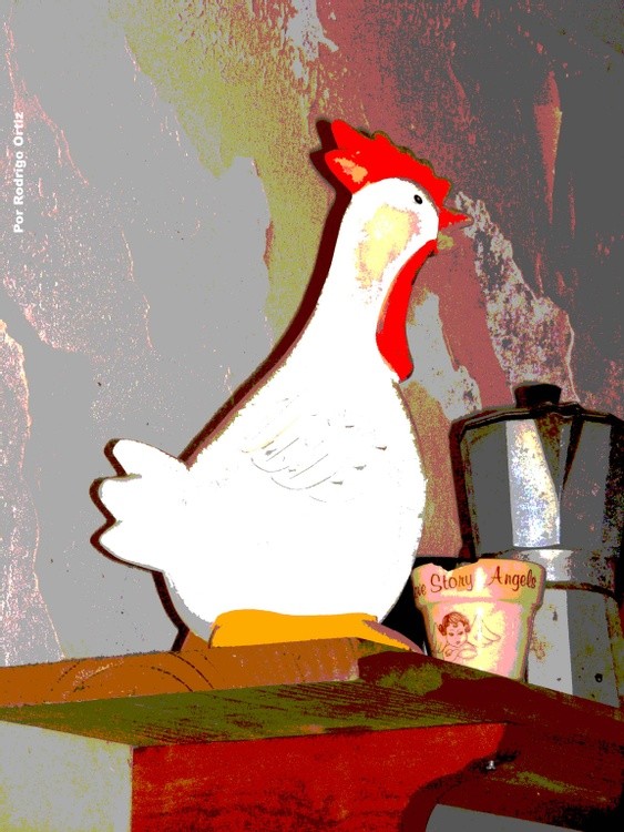 poster gallinita copiar